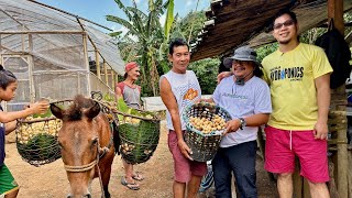 I.T. Expert Part Time Farmer! Kumikita sa Lanzones, Greenhouse at Open Field Farming