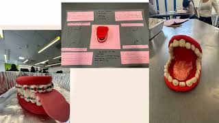 Defined Careers in Action (Grades 6-8): CTE Teacher Discusses Defined Careers Patient Care Courses