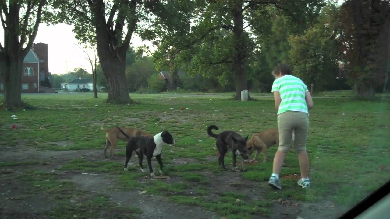 petco hours East St. Louis Feedings. 10.7.11