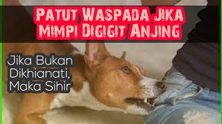 HATI-HATI Mimpi Digigit Anjing Pertanda Sihir Sudah Masuk Ke Tubuh | Mimpi Anjing Pertanda Sihir