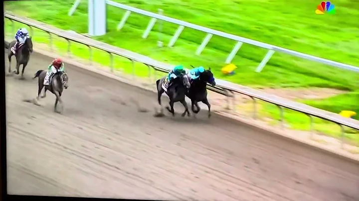 JOURNALISM WINS THE 2025 HASKELL STAKES