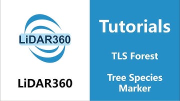 LiDAR360 (V7) - Tree Species Marker | TLS Forest