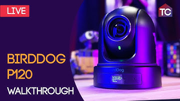 BirdDog P120 PTZ Camera Walkthrough