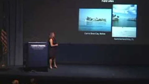 Jennifer SNEED 09 18 13