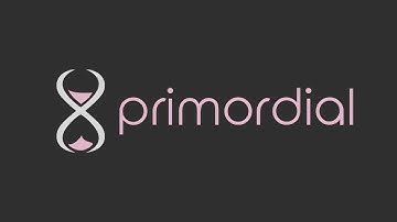 The First Day On Primordial.Dev