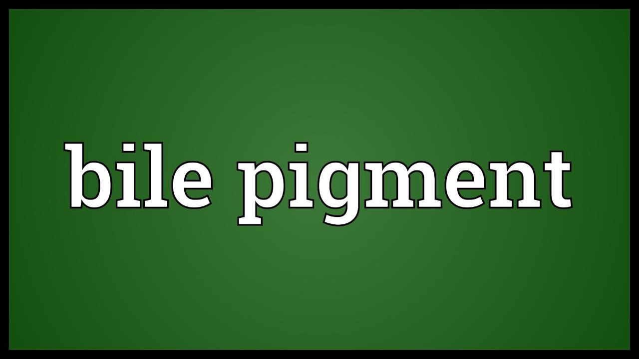 Bile pigment Meaning - YouTube
