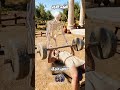 تخي ل لو كان عندك أسبوع واحد بس عشان تبقى غني في اليونان القديمة