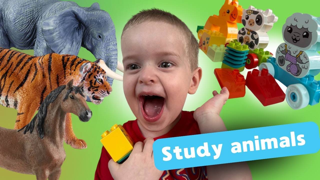 Fun Animal Learning Kids Learning About Animals โ Fun Animal Videos for Children! - YouTube