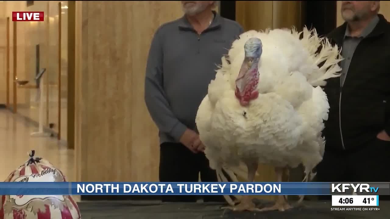 North Dakotan Turkey pardoned ahead of Thanksgiving - YouTube
