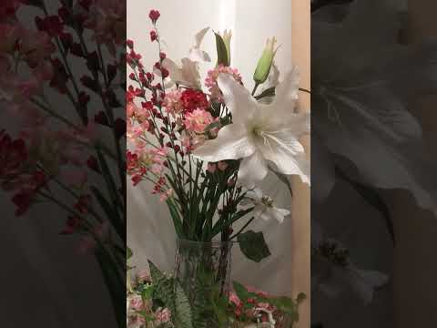 Highlight 2:06:49 - 2:11:49 from Mama Lynn Official is live!
