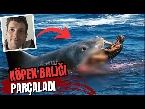 Video: Vladimir'deki Aquapark: tüm aile için eğlence