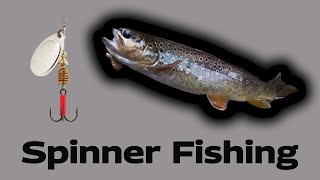 Fishing With Inline Spinners For Trout