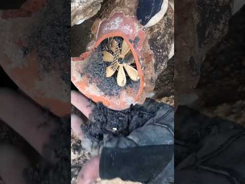   كنوز و دفائن البحت الكنز 