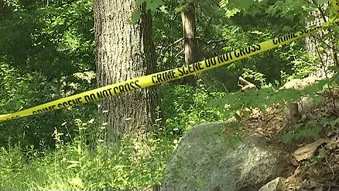 West Brookfield property being searched in unsolved Molly Bish case