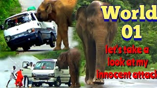 World 01 attack on vans by elephants😱