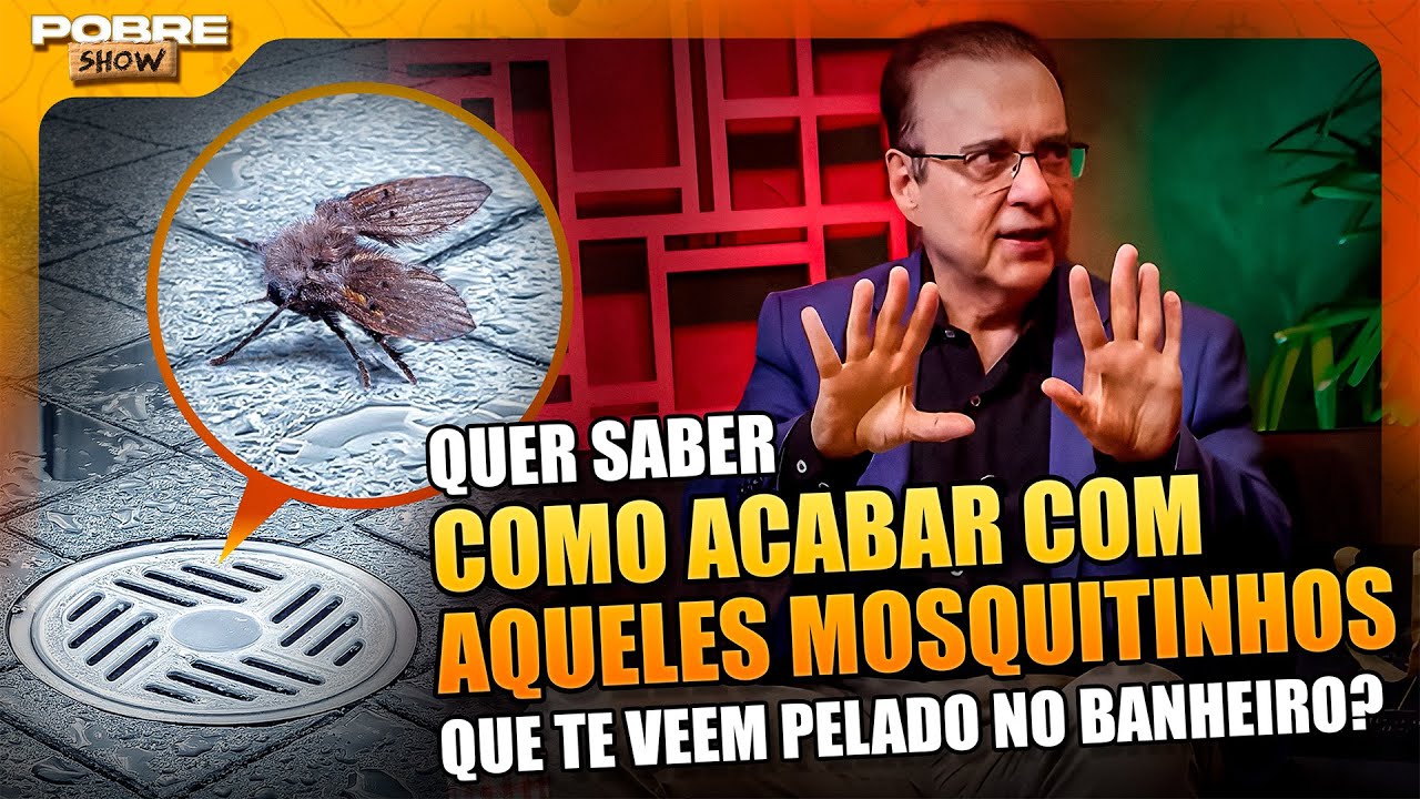 COMO ELIMINAR as MOSCAS de BANHEIRO | Corte DR. BACTÉRIA | Pobre Show ...
