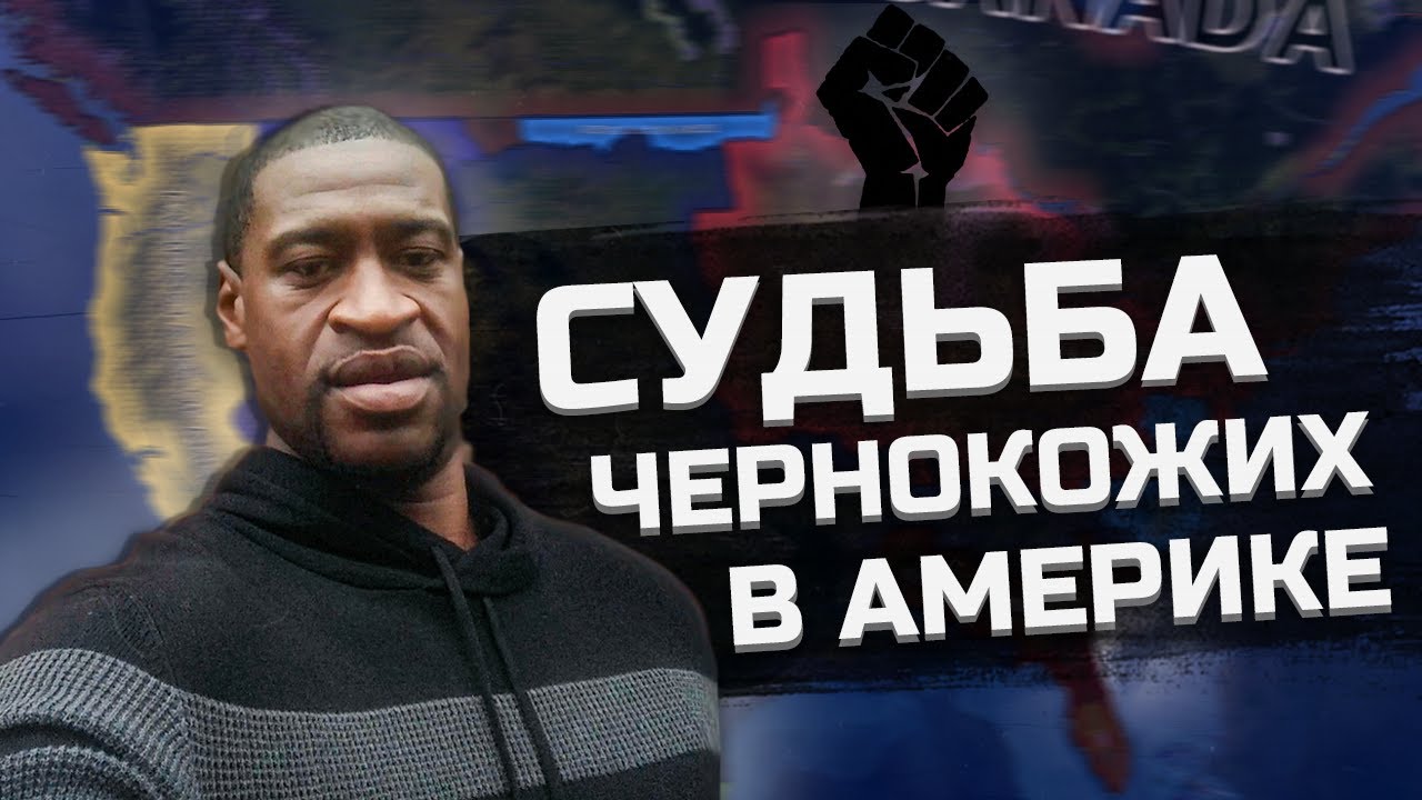 увязался черный кот. смородина черная ядреная с3 н50. миграция китов шри ланка. пантера луна. рождение нации 2016.