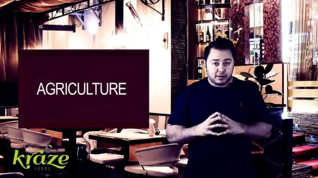 How To Start Your Own Food Business Licenses Part 9 YouTube