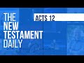 Acts 12 | The New Testament Daily with Jerry Dirmann (Feb 2 + Oct 11)