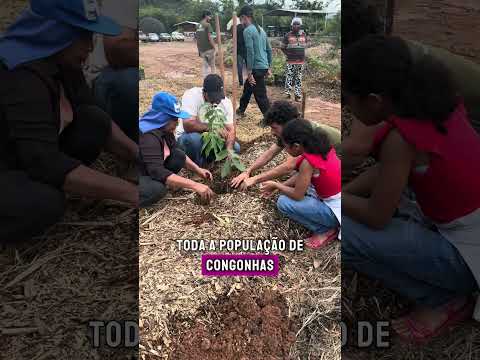 Por Dentro do Origem Composta - #4