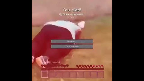 Minecraft Meme That Cured The Virus