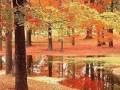 Autumn Leaves - Ferrante and Teicher