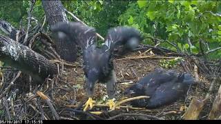 AEF DC EAGLE CAM 5.19.17 Dancing in the Rain