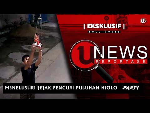 MENELUSURI JEJAK PENCURI PULUHAN HIOLO (PART1) | U-NEWS REPORTASE #EPS14