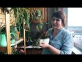 МАСТЕР-КЛАСС | Комнатные растения уезжают с вами на дачу