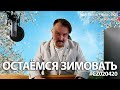 Продолжаем просиживать штаны и наращивать боки! Похоже это надолго! #020420