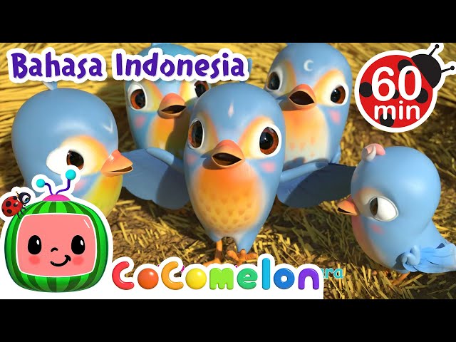 🐥Lima Burung Kecil Silaturahmi🐥 | CoComelon Bahasa Indonesia - Lagu Anak Anak | Nursery Rhymes class=