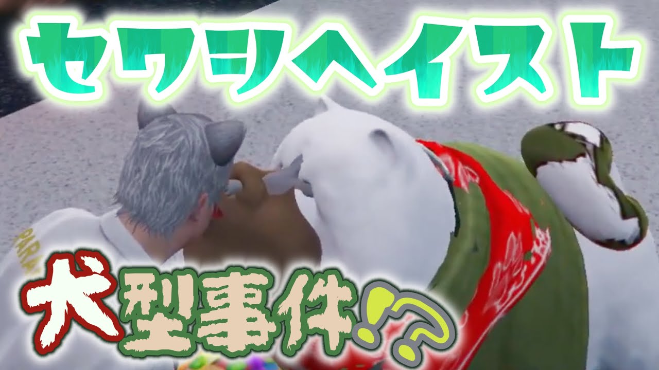 【切り抜き】セワシヘイストとストグラ救急隊【#ストグラ】