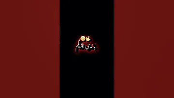 پشتو شاعری Official 