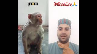 Start To Finish Alone Buildlog Cabin Wooden Househow To Build Wooden Cabin Surviva 1