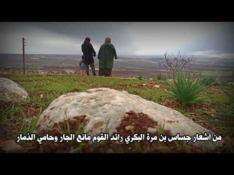 جساس يرثي كليبا بعدما قتله الشاعر والفارس جساس بن مرة البكري رائد القوم مانع الجار وحامي الذمار