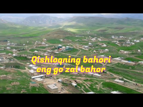 Video: National Geographic'dan o'tgan haftaning eng yaxshi fotosuratlari (07-13 may)