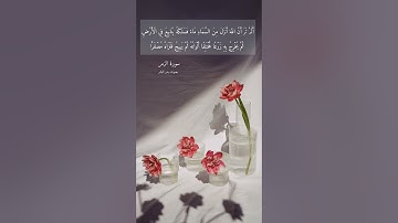 آية ٢١ "ألم تر أن الله أنزل من السماء ماء فسلكه ينابيع في الأرض" من سورة الزمر