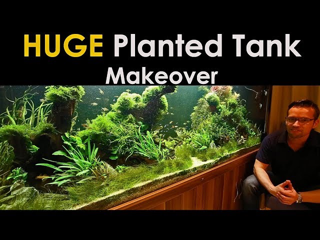 HUGE Planted Tank Makeover - 1200 Litre Nature Aquarium!!