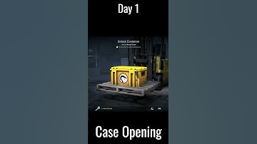 Opening CS2 Cases everyday until I get Gold #CS2 #Case #Open #Gold