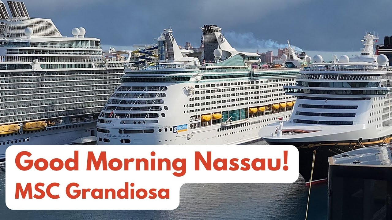 Searching for SMOOTHIES!  MSC Grandiosa Morning 2