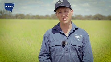 12 FarmLink Virtual Field Day Video Series   Trace Element Trial