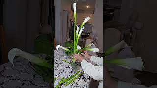 How to make easy calla lilys in vase arrange May 18, 2024