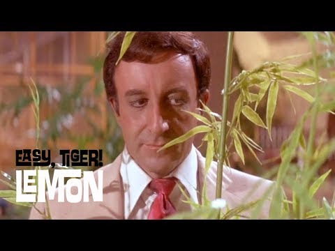 Lemon - Easy, Tiger! (Official Music Video) The Party 2018