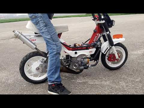 Testing cristofolini T.C.R