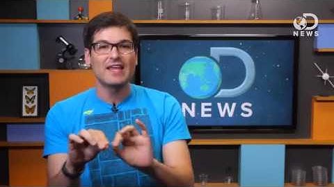 Living Computer Created With Slime Mold