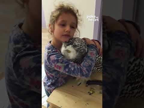 Little Girl Loves