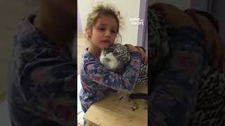 Little Girl Loves her Snow Owl | Shorts