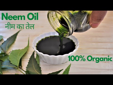 शुद्ध नीम तेल बनाने की विधि Neem Oil Recipe | Medicinal