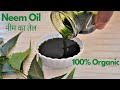 शुद्ध नीम तेल बनाने की विधि Neem Oil Recipe | Medicinal Homemade Oil and Scrub for Glowing Skin