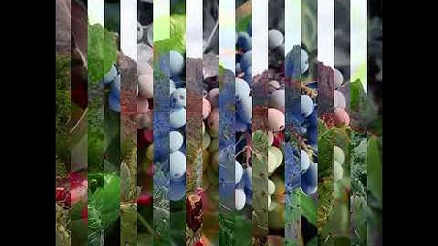 لكل من ضاق صدره سورة الحشر اسلام صبحي🌿☘🍃
